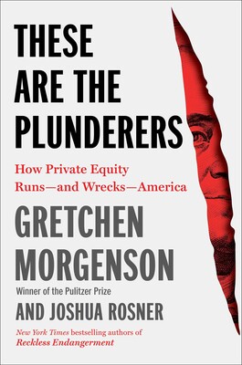 These Are the Plunderers: How Private Equity Runs – and Wrecks – America book cover