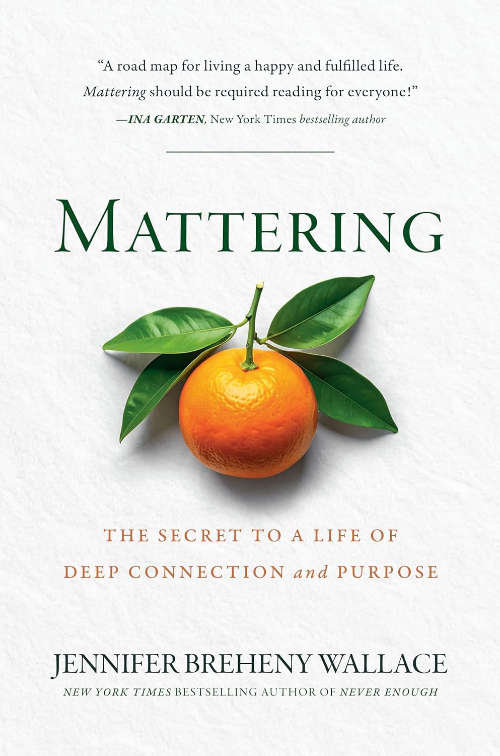 Mattering: The Secret to a Life of Deep Connection and Purpose book cover