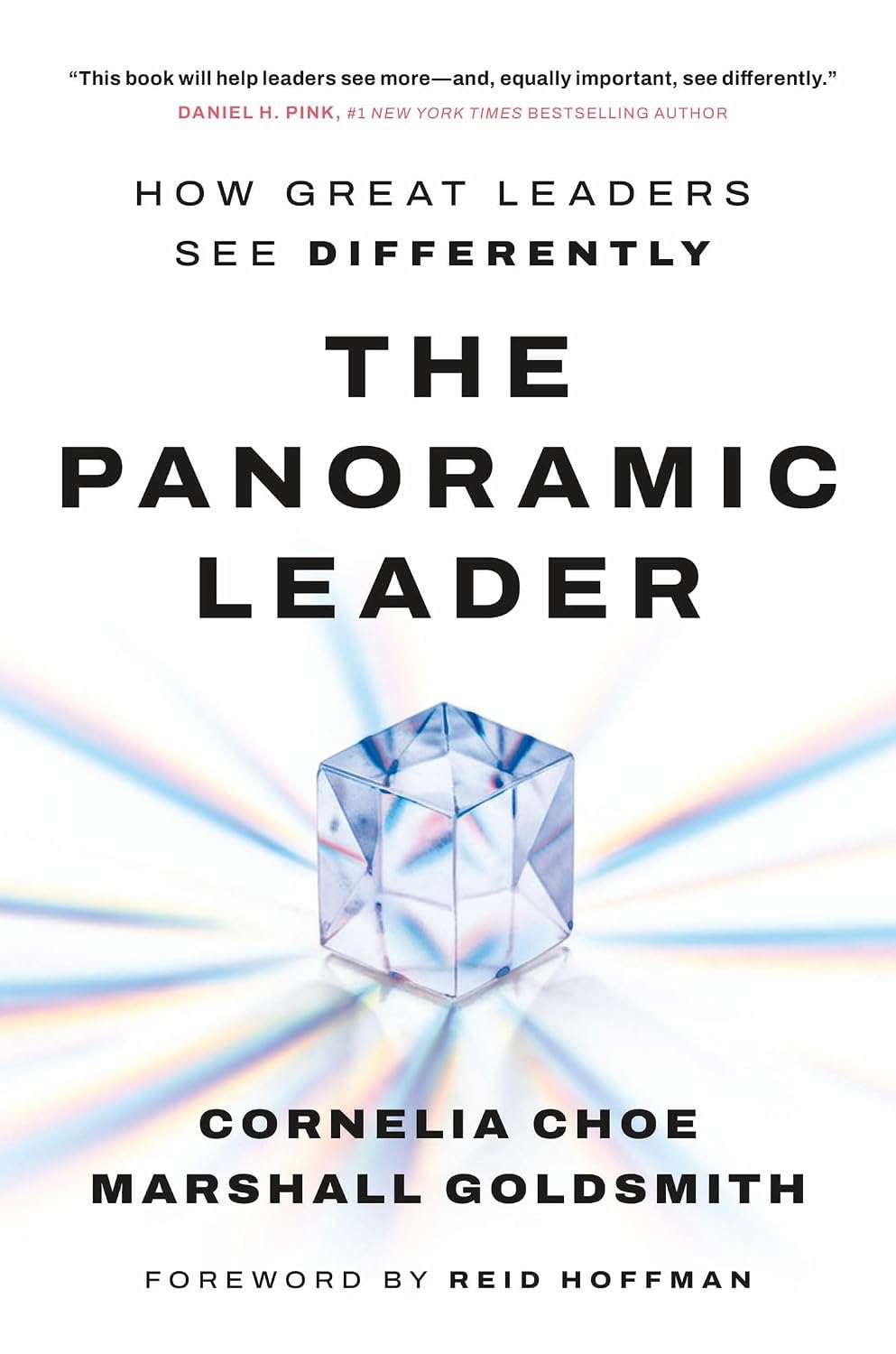 The Panoramic Leader: How Great Leaders See Differently book cover